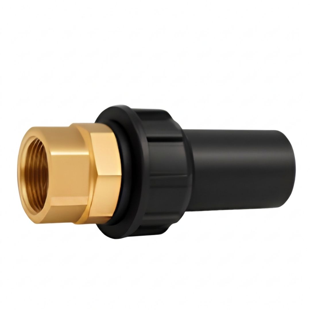 PE Brass BSPT Female Transition